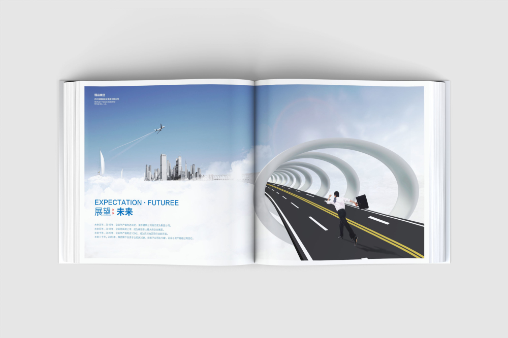 双塔区画册设计